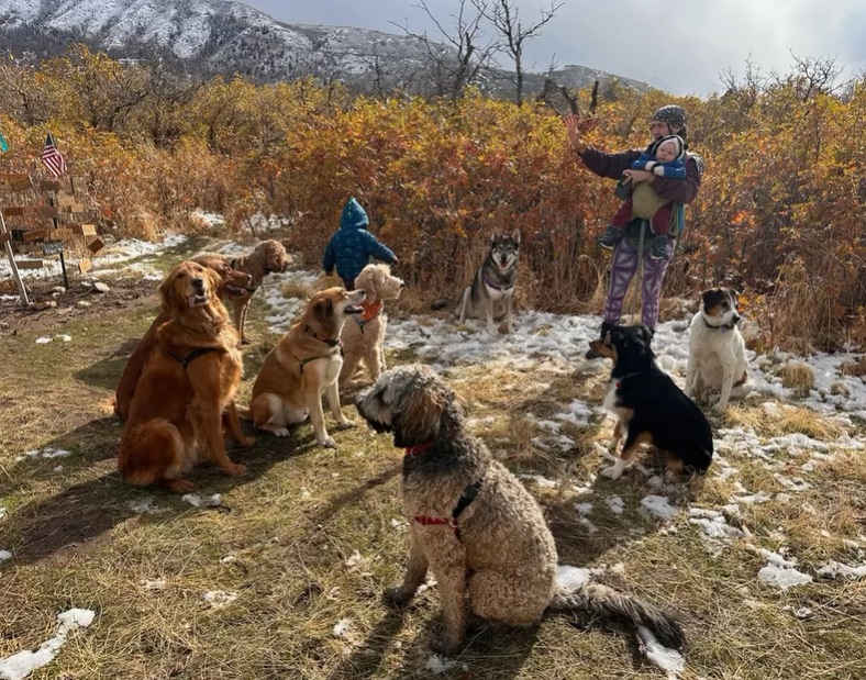Sandy Dog Hiking