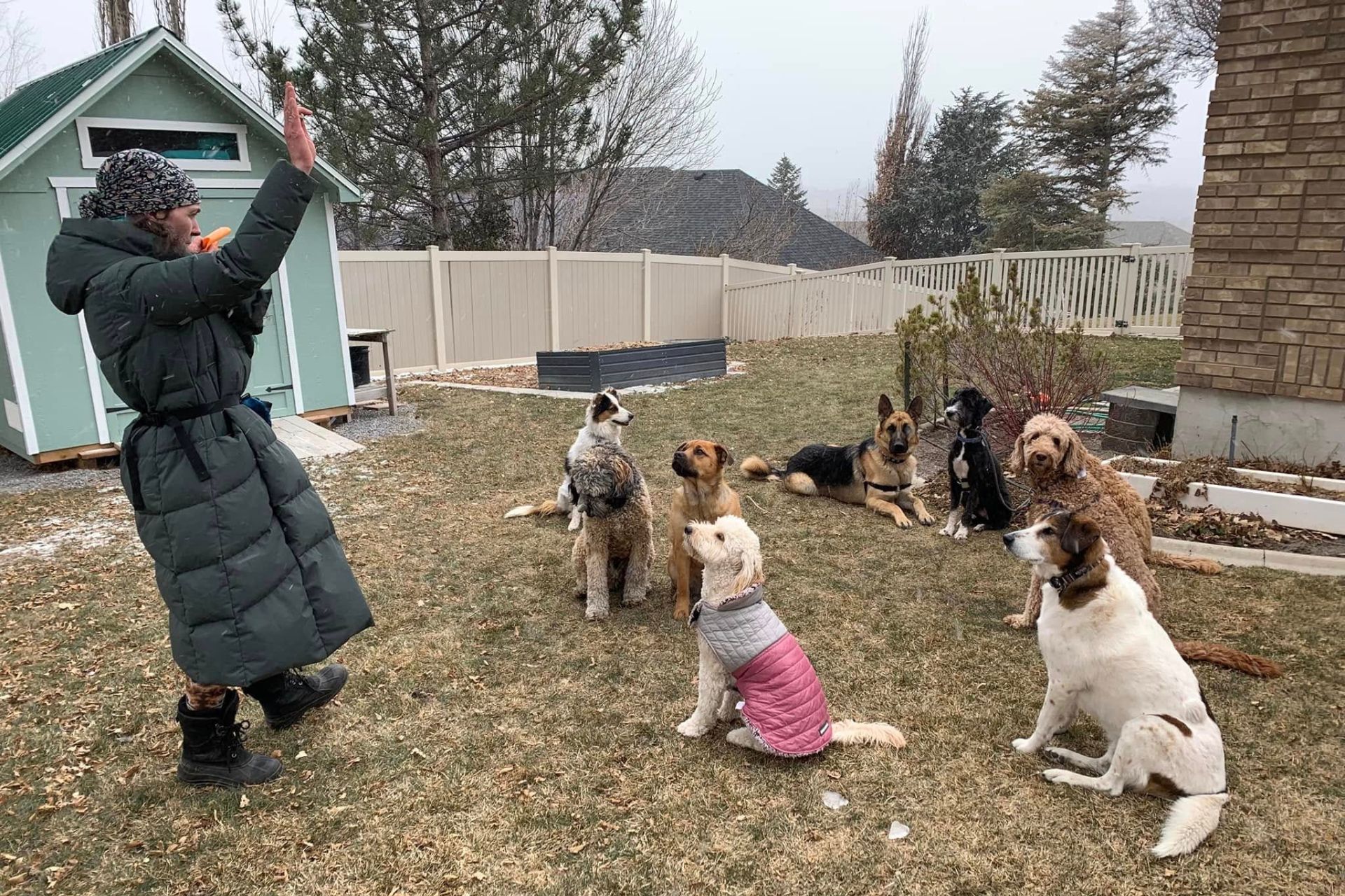 Obedience Training