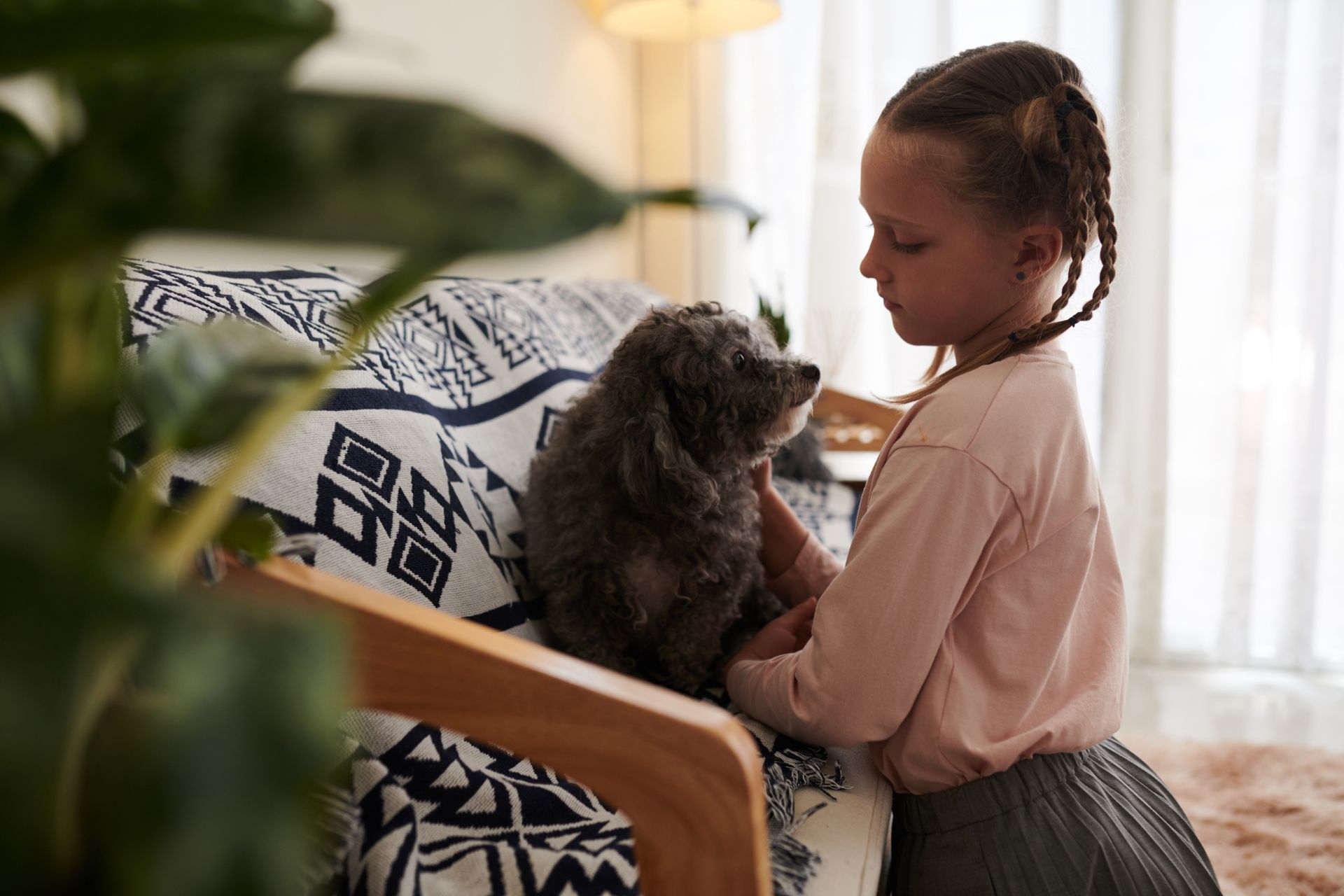 Draper Dog Nervous System Repair